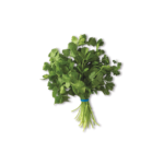 Cilantro agroecológico, rico en antioxidantes y vitaminas, ideal para desintoxicar y mejorar la digestión.