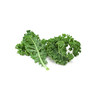 Kale agroecológico, rico en antioxidantes y fibra, ideal para mejorar la digestión y fortalecer el sistema inmunológico.