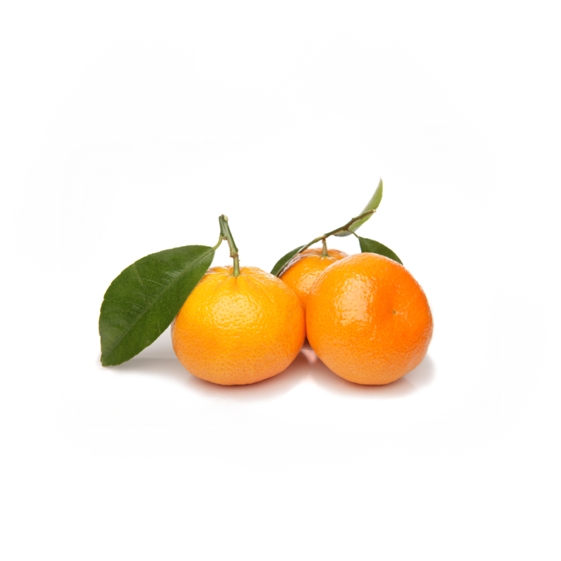 Mandarina agroecológica, rica en vitamina C y antioxidantes, ideal para mejorar la digestión y fortalecer el sistema inmunológico.