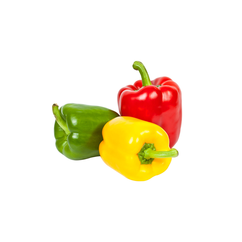 Pimiento agroecológico, disponible en rojo, amarillo y verde, rico en antioxidantes y fibra, ideal para mejorar la digestión.